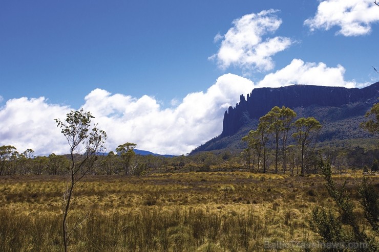 Iepazīsti skaisto Tasmanijas salu Austrālijā. Foto: Tasmanian Walking Company / Great Walks of Australia 219390