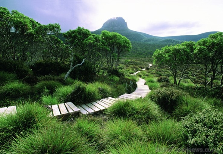 Iepazīsti skaisto Tasmanijas salu Austrālijā. Foto: Cradle Mountain Huts 219392