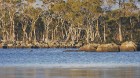 Iepazīsti skaisto Tasmanijas salu Austrālijā. Foto: Todd Moen / Catch Magazine 9