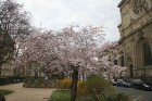 Travelnews.lv pārliecinās, ka Parīzē jau var baudīt pavasari 19