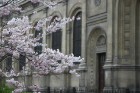 Travelnews.lv pārliecinās, ka Parīzē jau var baudīt pavasari 20