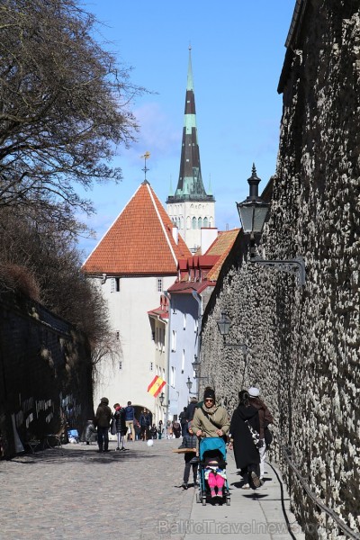 Tallinas pilsētas torņi pievilina ārvalstu ceļotājus. Atbalsta: Hotel Schlössle 221233