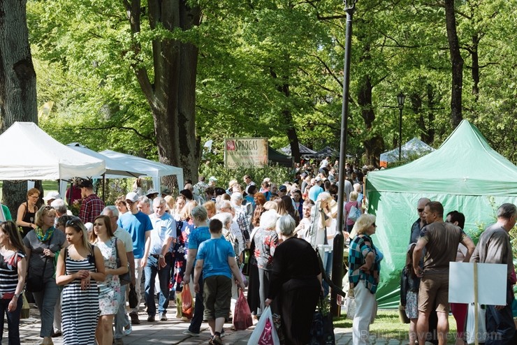 Jelgavas pilsētā notiek Latvijas Stādu dienas 222788