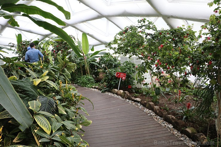 Travelnews.lv apmeklē Konjas taureņu māju «Konya Tropical Butterfly Garden». Atbalsta: Turkish Airlines 223755