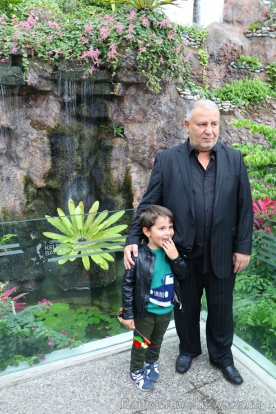 Travelnews.lv apmeklē Konjas taureņu māju «Konya Tropical Butterfly Garden». Atbalsta: Turkish Airlines 223757