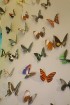 Travelnews.lv apmeklē Konjas taureņu māju «Konya Tropical Butterfly Garden». Atbalsta: Turkish Airlines 34