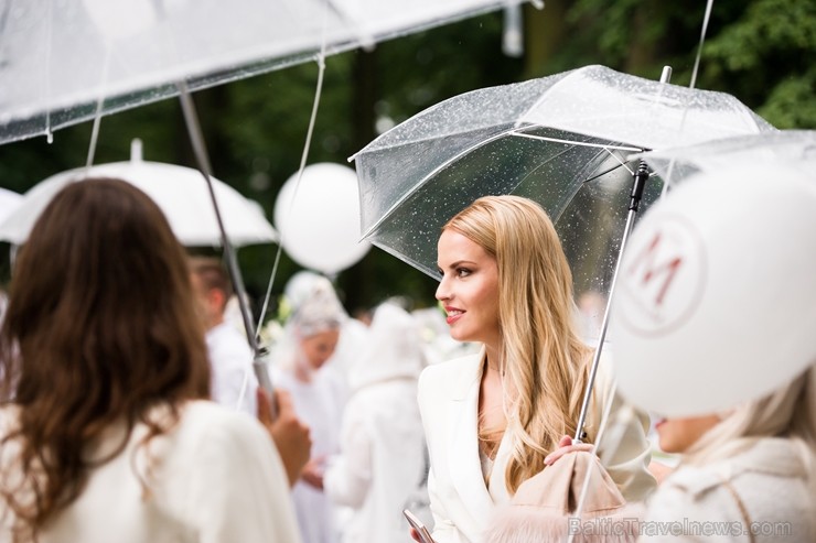 Jau ceturto gadu Rīgā notiek baltais pop-up pikniks «L’elegante Pop-Up Picnic» 227903