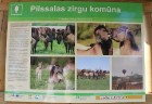Travelnews.lv apmeklē savvaļas zirgus Jelgavas pļavās 22