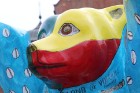 Pēc 6 nedēļu ciemošanās Berlīnes lāči ir pametuši Doma laukumu Rīgā 1