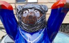 Pēc 6 nedēļu ciemošanās Berlīnes lāči ir pametuši Doma laukumu Rīgā 40