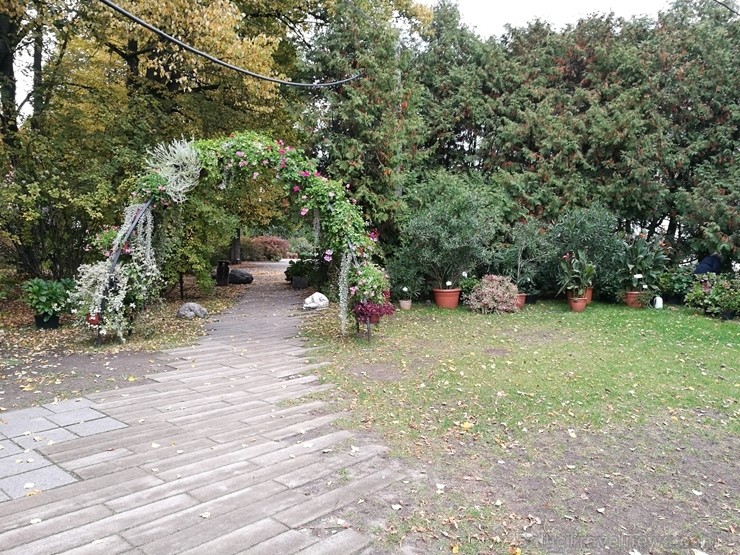 Rīgas parki un dārzi pārklājas rudens zeltā 234672