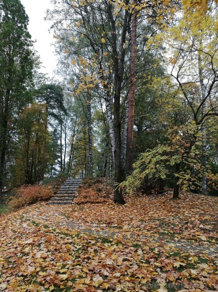 Rīgas parki un dārzi pārklājas rudens zeltā 234676
