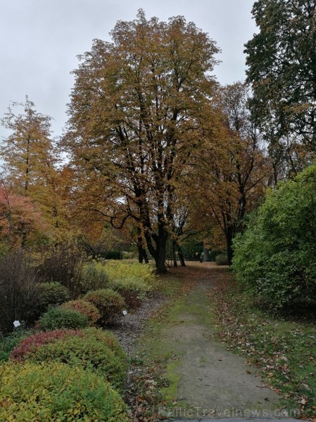 Rīgas parki un dārzi pārklājas rudens zeltā 234689