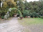 Rīgas parki un dārzi pārklājas rudens zeltā 14