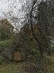 Rīgas parki un dārzi pārklājas rudens zeltā 12
