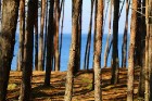 Travelnews.lv apmeklē dabas parku «Piejūra» un Carnikavas pludmali 2