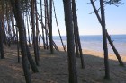 Travelnews.lv apmeklē dabas parku «Piejūra» un Carnikavas pludmali 19