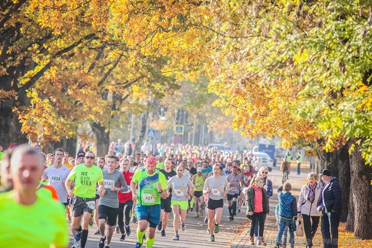 Skriešanas seriāla «Bigbank Skrien Latvija» noslēgums vairāk kā 3000 Siguldas pusmaratona dalībniekiem paliks atmiņā kā zelta rudens tā viskrāšņākajā  235134