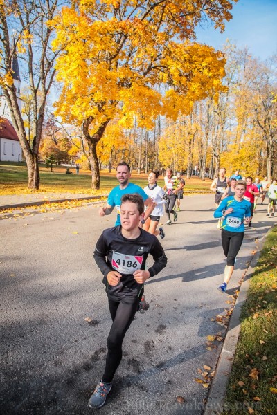 Skriešanas seriāla «Bigbank Skrien Latvija» noslēgums vairāk kā 3000 Siguldas pusmaratona dalībniekiem paliks atmiņā kā zelta rudens tā viskrāšņākajā  235159