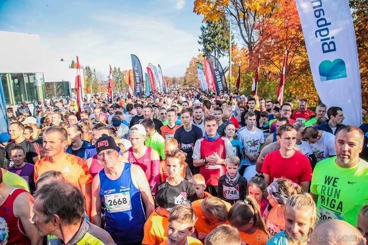 Skriešanas seriāla «Bigbank Skrien Latvija» noslēgums vairāk kā 3000 Siguldas pusmaratona dalībniekiem paliks atmiņā kā zelta rudens tā viskrāšņākajā  235165