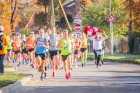 Skriešanas seriāla «Bigbank Skrien Latvija» noslēgums vairāk kā 3000 Siguldas pusmaratona dalībniekiem paliks atmiņā kā zelta rudens tā viskrāšņākajā  11
