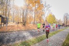 Skriešanas seriāla «Bigbank Skrien Latvija» noslēgums vairāk kā 3000 Siguldas pusmaratona dalībniekiem paliks atmiņā kā zelta rudens tā viskrāšņākajā  18