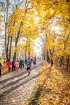 Skriešanas seriāla «Bigbank Skrien Latvija» noslēgums vairāk kā 3000 Siguldas pusmaratona dalībniekiem paliks atmiņā kā zelta rudens tā viskrāšņākajā  20