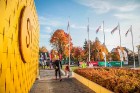 Skriešanas seriāla «Bigbank Skrien Latvija» noslēgums vairāk kā 3000 Siguldas pusmaratona dalībniekiem paliks atmiņā kā zelta rudens tā viskrāšņākajā  2