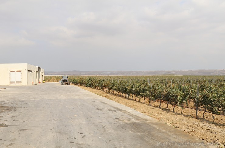 Travelnews.lv iepazīst Azerbaidžānas vīnogu laukus, vīna darītavu un vīnu. Sadarbībā ar Latvijas vēstniecību Azerbaidžānā un tūrisma firmu «RANTUR Tra 235530