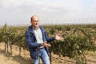 Travelnews.lv iepazīst Azerbaidžānas vīnogu laukus, vīna darītavu un vīnu. Sadarbībā ar Latvijas vēstniecību Azerbaidžānā un tūrisma firmu «RANTUR Tra 4
