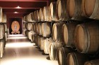 Travelnews.lv iepazīst Azerbaidžānas vīnogu laukus, vīna darītavu un vīnu. Sadarbībā ar Latvijas vēstniecību Azerbaidžānā un tūrisma firmu «RANTUR Tra 11