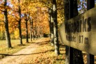 Bīriņu Pils parks ir brīnišķīga vieta zelta rudens baudīšanai 20