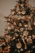 «Grand Hotel Kempinski Riga» kopā ar draugiem un sadarbības partneriem iededz Ziemassvētku egli 13