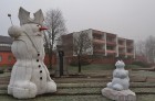 Šoziem Dobeles Sniegavīru saieta tēma ir Latvijas simtgade un tautas varonis - Lāčplēsis. Dobeles laukumos var satikt Melno bruņinieku, Spīdalu, Laimd 9
