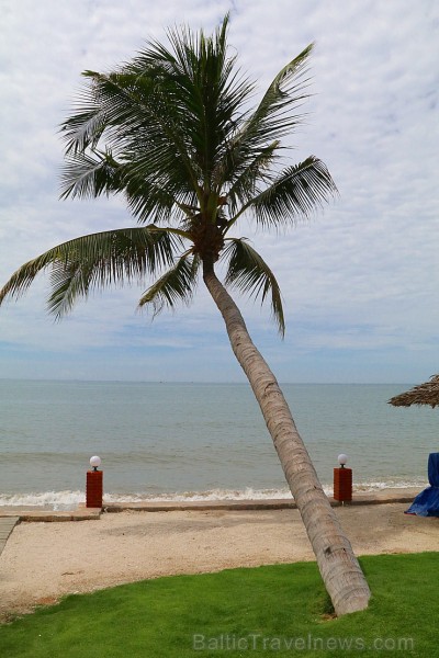 Travelnews.lv iepazīst Vjetnamas pludmales viesnīcu «Muine Ocean Resort & Spa» kopā ar 365 brīvdienas un Turkish Airlines 242843