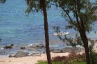 Travelnews.lv iepazīst Vjetnamas pludmales viesnīcu «Ca Ty Mui Ne Resort» kopā ar 365 brīvdienas un Turkish Airlines 31