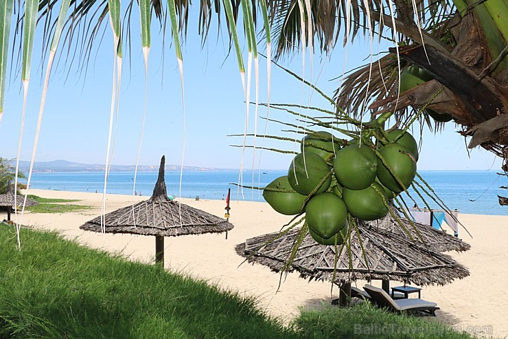 Travelnews.lv iepazīst Vjetnamas pludmales viesnīcu «Anantara Mui Ne Resort» kopā ar 365 brīvdienas un Turkish Airlines 243819
