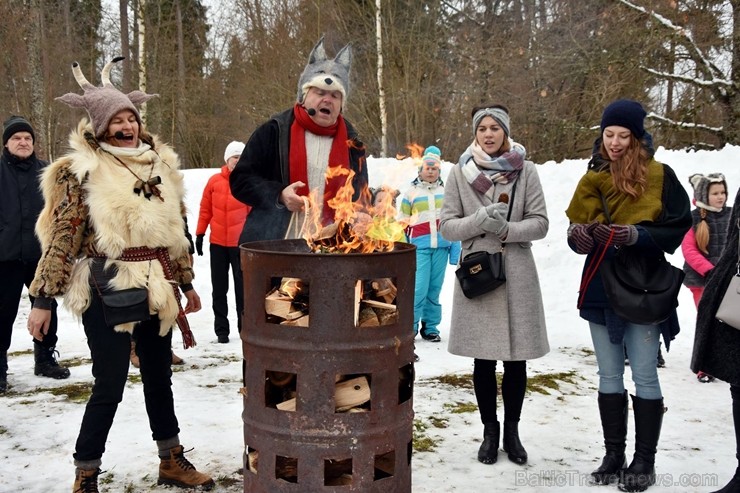 Kopā ar folkloristiem un latvisko tradīciju zinātājiem Alūksnē svinēja Meteņdienu, ejot rotaļās, lieloties, ēdot cūkas šņukuru, vizinoties no kalna un 245959