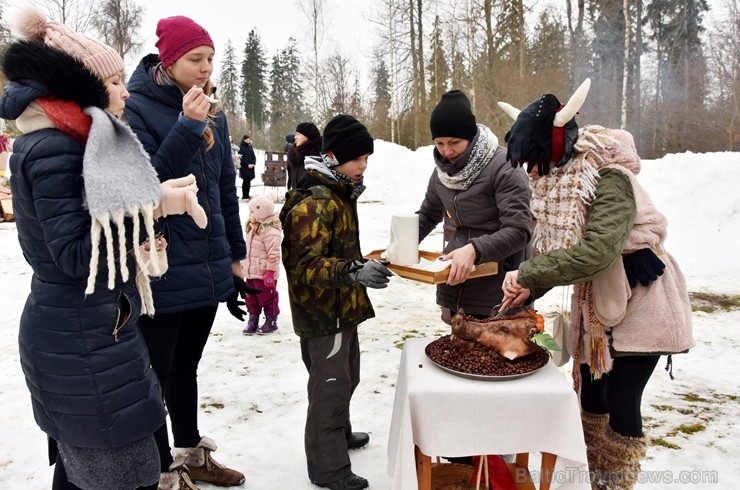 Kopā ar folkloristiem un latvisko tradīciju zinātājiem Alūksnē svinēja Meteņdienu, ejot rotaļās, lieloties, ēdot cūkas šņukuru, vizinoties no kalna un 245977