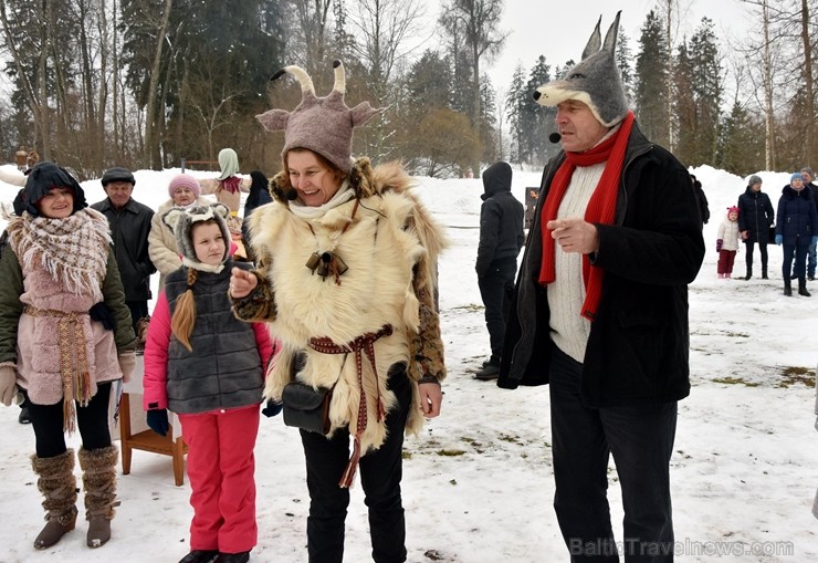 Kopā ar folkloristiem un latvisko tradīciju zinātājiem Alūksnē svinēja Meteņdienu, ejot rotaļās, lieloties, ēdot cūkas šņukuru, vizinoties no kalna un 245978