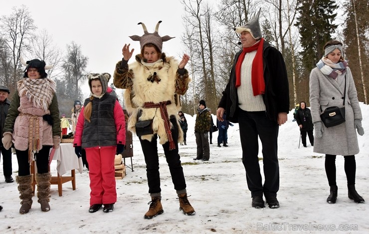 Kopā ar folkloristiem un latvisko tradīciju zinātājiem Alūksnē svinēja Meteņdienu, ejot rotaļās, lieloties, ēdot cūkas šņukuru, vizinoties no kalna un 245979