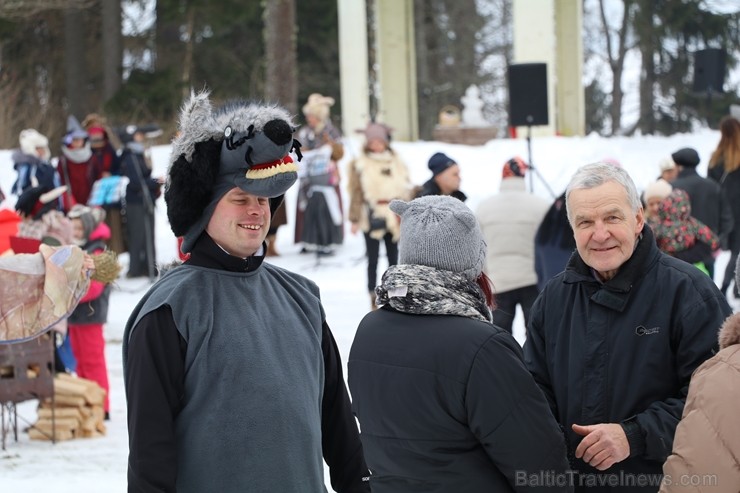 Kopā ar folkloristiem un latvisko tradīciju zinātājiem Alūksnē svinēja Meteņdienu, ejot rotaļās, lieloties, ēdot cūkas šņukuru, vizinoties no kalna un 245983