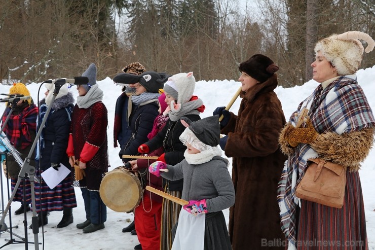 Kopā ar folkloristiem un latvisko tradīciju zinātājiem Alūksnē svinēja Meteņdienu, ejot rotaļās, lieloties, ēdot cūkas šņukuru, vizinoties no kalna un 245984