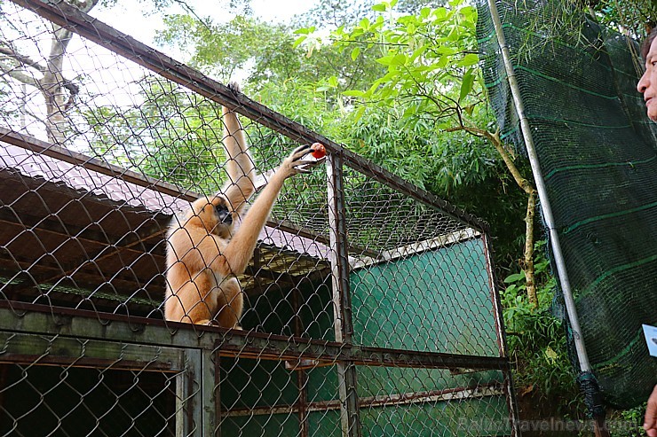 Travelnews.lv iesaka ignorēt zoodārzu Prenn parkā līdz dzīvnieku uzturēšanas apstākļu būtiskai uzlabošanai. Atbalsta: 365 brīvdienas 246983