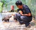 Travelnews.lv iesaka ignorēt zoodārzu Prenn parkā līdz dzīvnieku uzturēšanas apstākļu būtiskai uzlabošanai. Atbalsta: 365 brīvdienas 28