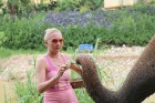 Travelnews.lv iesaka ignorēt zoodārzu Prenn parkā līdz dzīvnieku uzturēšanas apstākļu būtiskai uzlabošanai. Atbalsta: 365 brīvdienas 34