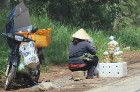 Travelnews.lv iepazīst Vjetnamas pilsētas Dalatas satiksmi. Atbalsta: 365 brīvdienas un Turkish Airlines 6