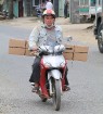 Travelnews.lv iepazīst Vjetnamas pilsētas Dalatas satiksmi. Atbalsta: 365 brīvdienas un Turkish Airlines 52
