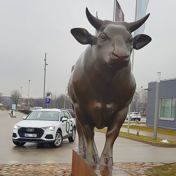 Travelnews.lv ar jauno «Audi Q3» apceļo Rīgu, Adažus, Ikšķili un Kuldīgu 249099