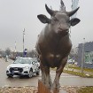 Travelnews.lv ar jauno «Audi Q3» apceļo Rīgu, Adažus, Ikšķili un Kuldīgu 30